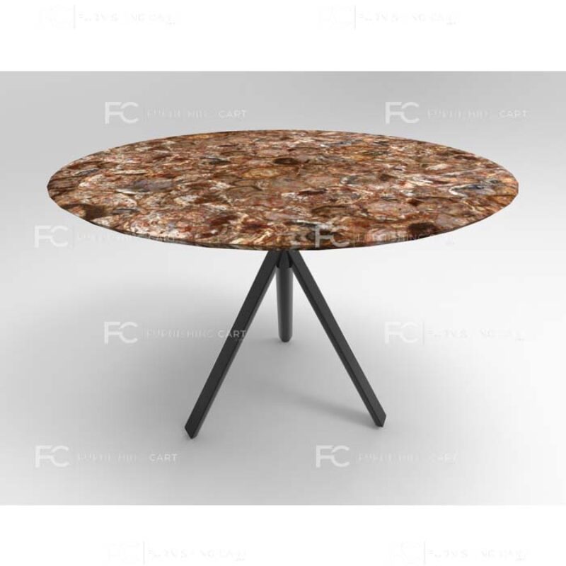 Petrified Wood Coffee Table – Lusso