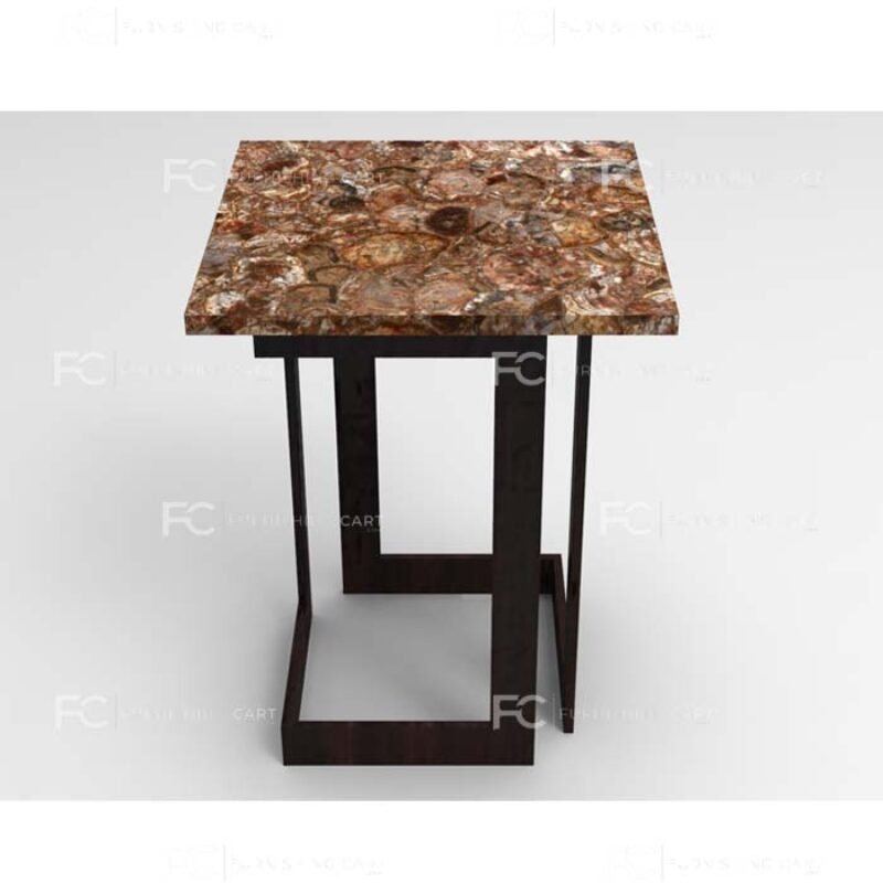 Petrified Wood End Table – Unico