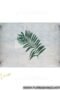monstera-leaf-tray-malachite-marble-3