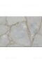 Quartz Trays