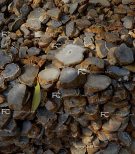 brown-agate-material-used-for-brown-agate-coaster-set