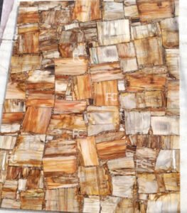 petrified-for-slab-material