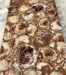 petrified-wood-slab